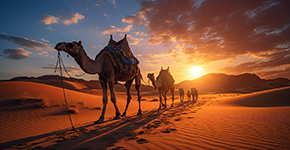 金鑽係(xi)列：摩洛哥(gē)-突尼斯13日(ri)之(zhi)旅